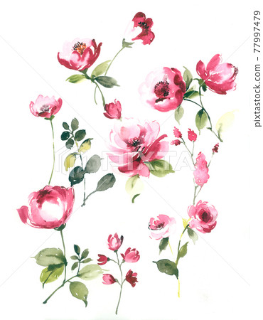 色彩豐富的花卉素材組合和設計元素 色彩豐富的花卉素材組合和設計元素 77997479