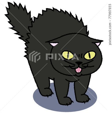 A black cat that intimidates with its hair turned upside down 77997855