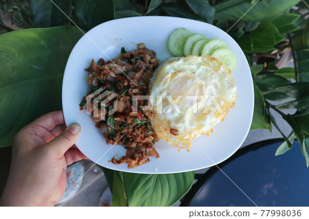 stir fried pork with holy basil, rice and sunny side up egg stir fried pork with holy basil, rice and sunny side up egg 77998036