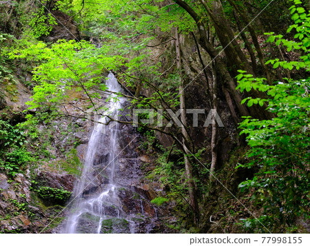 Waterfall at Okutama Bossawa Waterfall at Okutama Bossawa 77998155