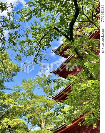 寺廟塔和新鮮的綠色天空 77998182