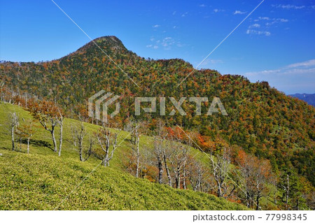 秋色中通往釋迦嶽山的山路和草甸 秋色中通往釋迦嶽山的山路和草甸 77998345