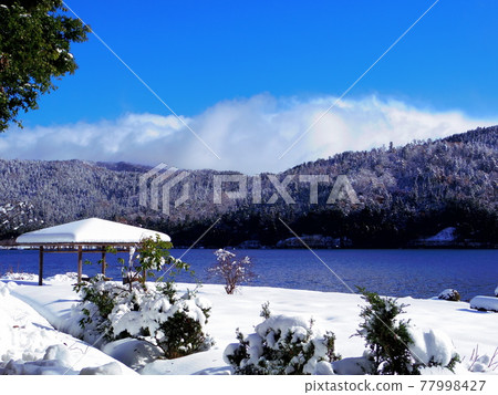 Winter Lake in winter Winter Lake in winter 77998427