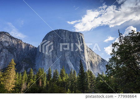 El Capitan, Yosemite national park El Capitan, Yosemite national park 77998664