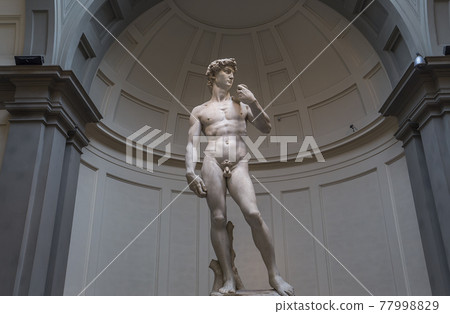 Michelangelo David statue in Accademia, Florence, Italy Michelangelo David statue in Accademia, Florence, Italy 77998829