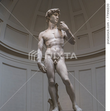 Michelangelo David statue in Accademia, Florence, Italy 77998830