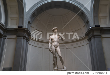 Michelangelo David statue in Accademia, Florence, Italy 77998831
