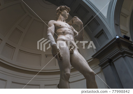 Michelangelo David statue in Accademia, Florence, Italy Michelangelo David statue in Accademia, Florence, Italy 77998842