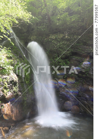 Murder waterfall 77999367