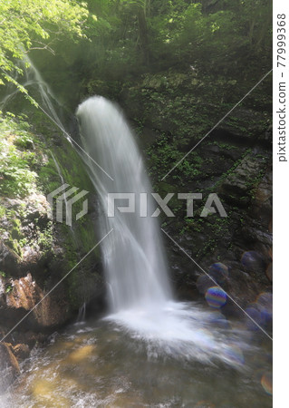 Murder waterfall 77999368