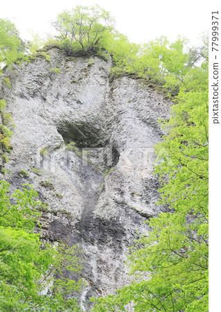 Footsteps of Tengu 77999371