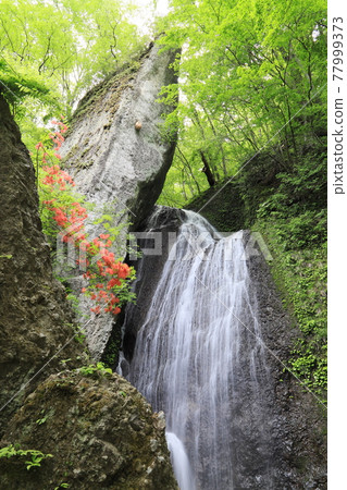 Sen no waterfall 77999373