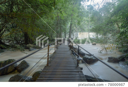 Wooden bridge walkway trail at Sri Dit Waterfall. Nature landscape of Khao Kho in natural park, Thailand in travel trip on holiday and vacation, tourist attraction. 78000987
