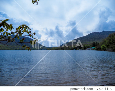Akagi Onuma, the season when young leaves began to appear ・ Late May_Akagi Onuma Akagi Onuma, the season when young leaves began to appear ・ Late May_Akagi Onuma 78001109