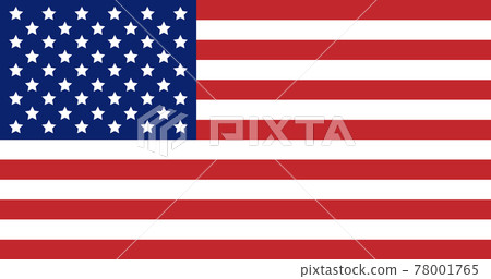 Vector flat the USA American flag Vector flat the USA American flag 78001765