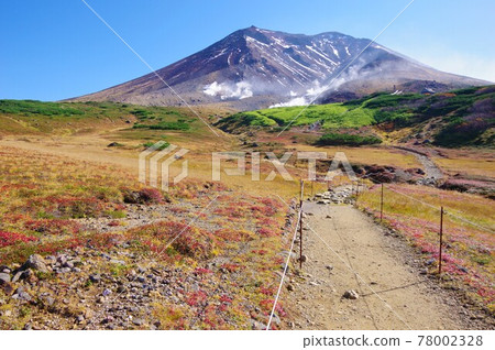 Hokkaido grass autumn leaves and Mt. Asahidake 78002328