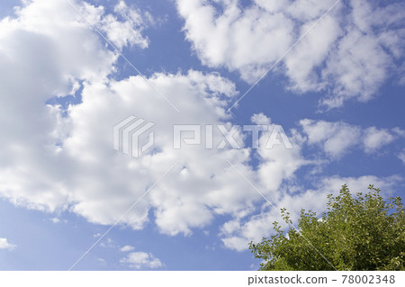 White fluffy clouds against the blue sky. Branches of a green tree against the sky White fluffy clouds against the blue sky. Branches of a green tree against the sky 78002348