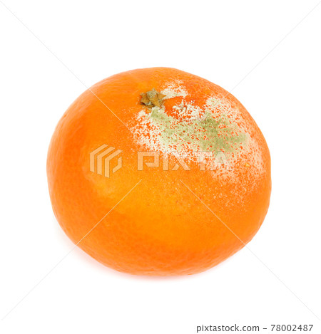 rotten mandarin isolated on a white background. rotten mandarin isolated on a white background. 78002487