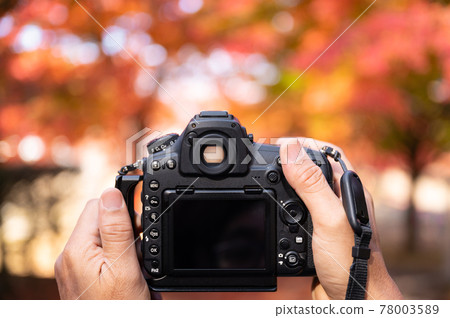 Close up hand of photographer photographing Autumn maple trees background Close up hand of photographer photographing Autumn maple trees background 78003589