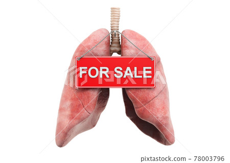 Lung transplantation concept. Lungs with For Sale hanging sign, 3D rendering 78003796