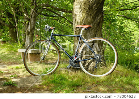 Combination of fresh green and bicycle Combination of fresh green and bicycle 78004628