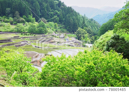 日本100選梯田：伊尼梯田風光 78005485