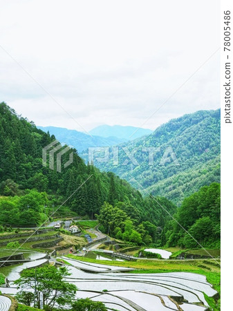 100 selections of rice terraces in Japan Ini rice terraces 78005486