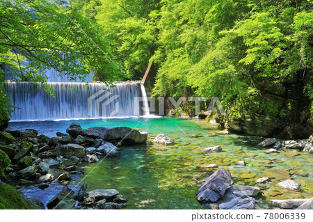 [Kochi Prefecture] Niyodo Blue in Yasui Valley (Niyodo River) 78006339