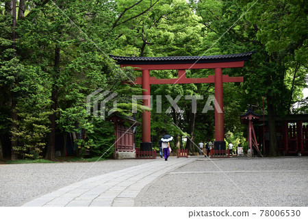 (Scenery of the shrine) Scenery of the guardian forest, the approach and the shrine: Mr. Hikawa Omiya (Scenery of the shrine) Scenery of the guardian forest, the approach and the shrine: Mr. Hikawa Omiya 78006530