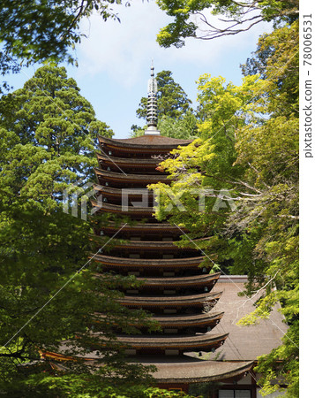 Tanzan Shrine in the fresh green 13-storied pagoda Tanzan Shrine in the fresh green 13-storied pagoda 78006531