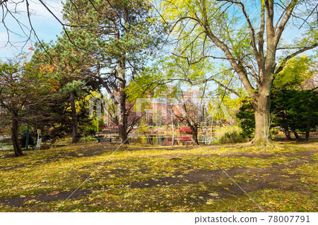 Autumn Hokkaido Sapporo Hokkaido Government Office Red Brick Office front yard 78007791
