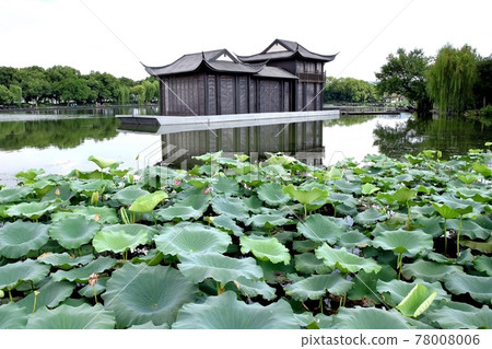 Saiko Quyuan Fenghe Hass 78008006