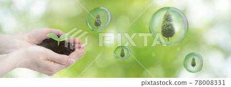 森林通過精心種植小芽生長。 （小物長成大圖、森林保護、環境保護等） 78008331