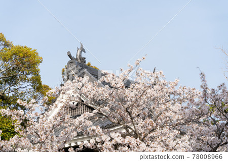 [Aichi Prefecture] Tahara Castle Ruins 78008966