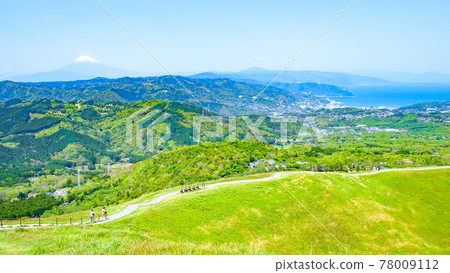 Scenery of Mt. Omuro, Izu (Spring): Overlooking Mt. Fuji and Sagami Nada 78009112
