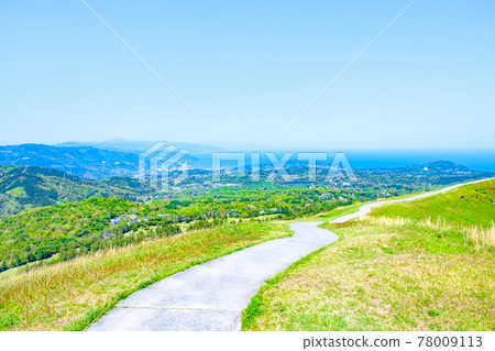 Scenery of Mt. Omuro, Izu (Spring): Overlooking Sagami Nada Scenery of Mt. Omuro, Izu (Spring): Overlooking Sagami Nada 78009113