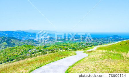 伊豆大室山的風景(春季):俯瞰灘相模 伊豆大室山的風景(春季):俯瞰灘相模 78009114