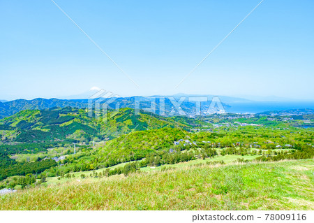 伊豆大室山風景(春季):遠眺富士山和灘相模 伊豆大室山風景(春季):遠眺富士山和灘相模 78009116