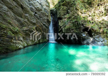 陽光照在盆中，泛著翠綠色的水 78009392