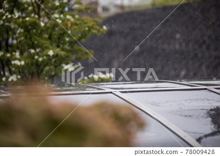 初雨季的風景 初雨季的風景 78009428