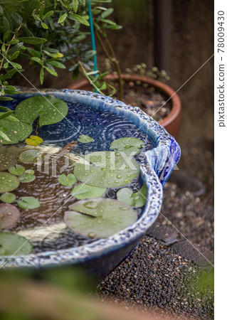 Landscape of the early rainy season Landscape of the early rainy season 78009430
