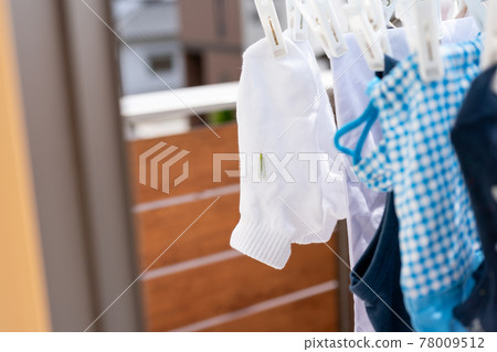 Insects on the laundry Insects on the laundry 78009512