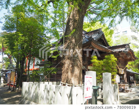 Tanashi Shrine 78009819