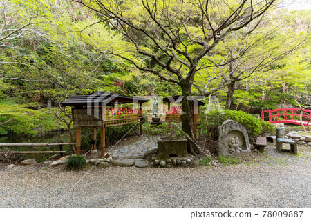 【靜岡縣】眼睛的神山遊山寺 【靜岡縣】眼睛的神山遊山寺 78009887