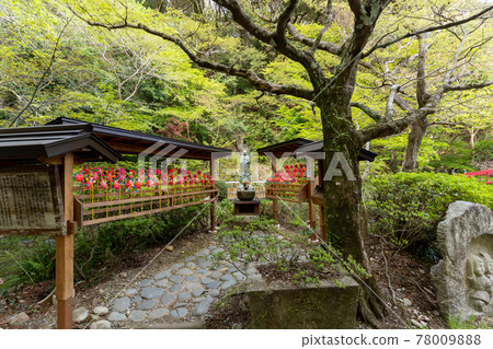 [Shizuoka Prefecture] Yusanji Temple, the sacred mountain of the eyes 78009888