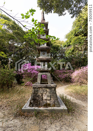 [Shizuoka Prefecture] Yusanji Temple, the sacred mountain of the eyes 78009911