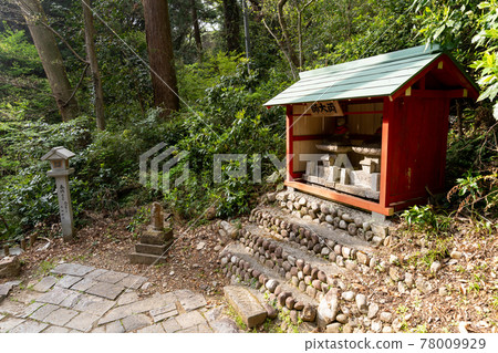 [Shizuoka Prefecture] Yusanji Temple, the sacred mountain of the eyes 78009929