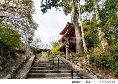 【靜岡縣】眼睛的神山遊山寺 【靜岡縣】眼睛的神山遊山寺 78009934