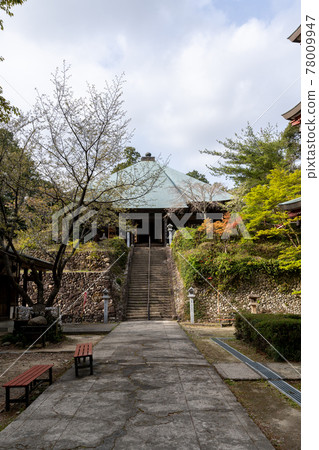 [Shizuoka Prefecture] Yusanji Temple, the sacred mountain of the eyes 78009947