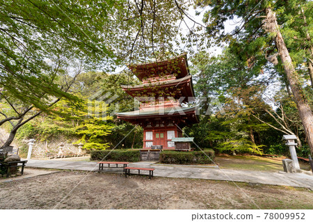 【靜岡縣】眼睛的神山遊山寺 78009952